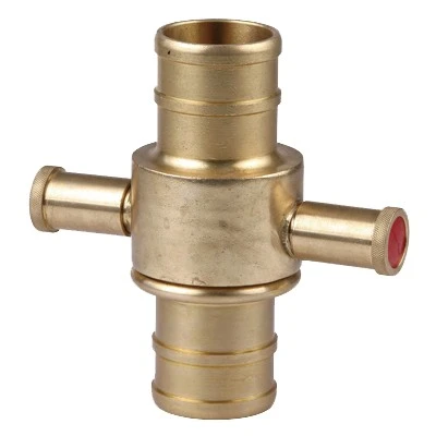 BSP Fire Coupling