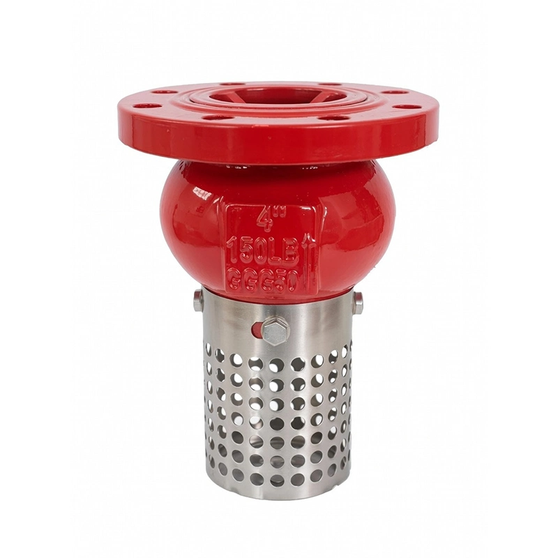 Foot Valve
