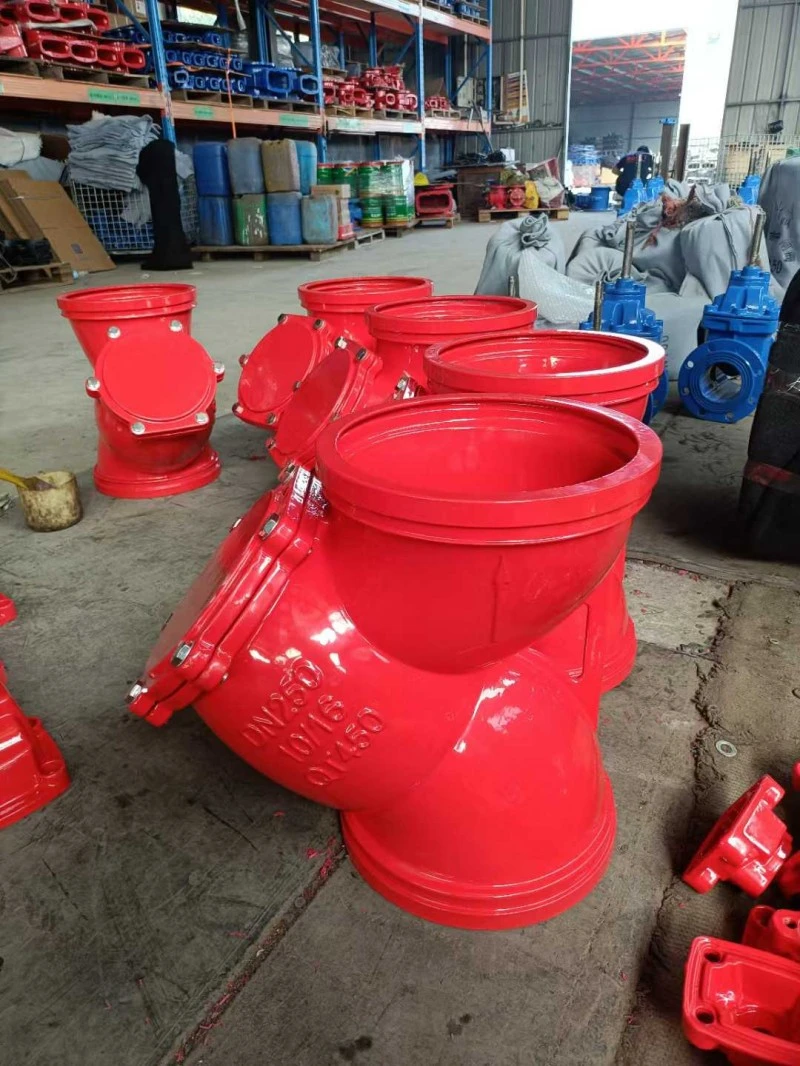 Y Type Strainer