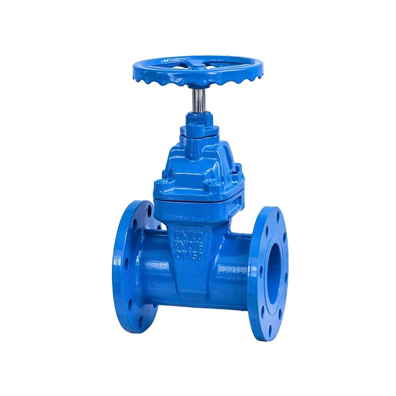 NRS Gate Valve